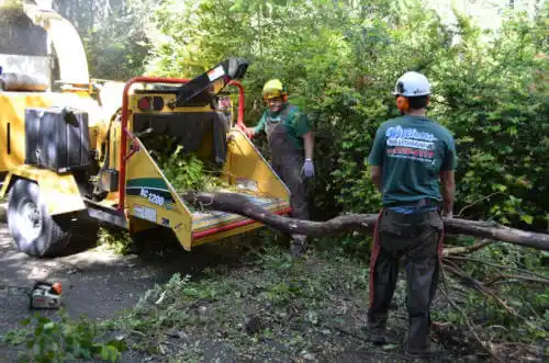 tree services Manilla